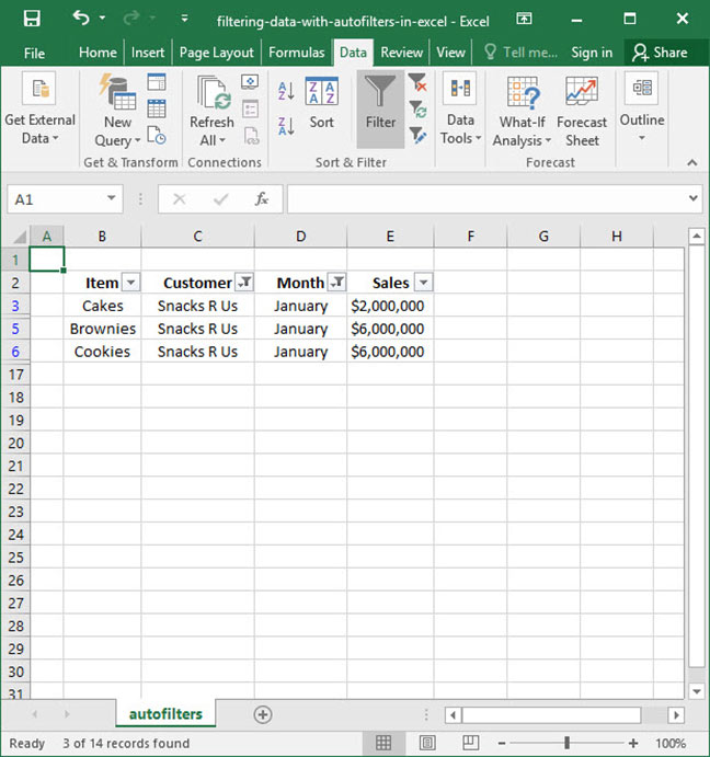 Filtering Data With Autofilters in Excel Deskbright